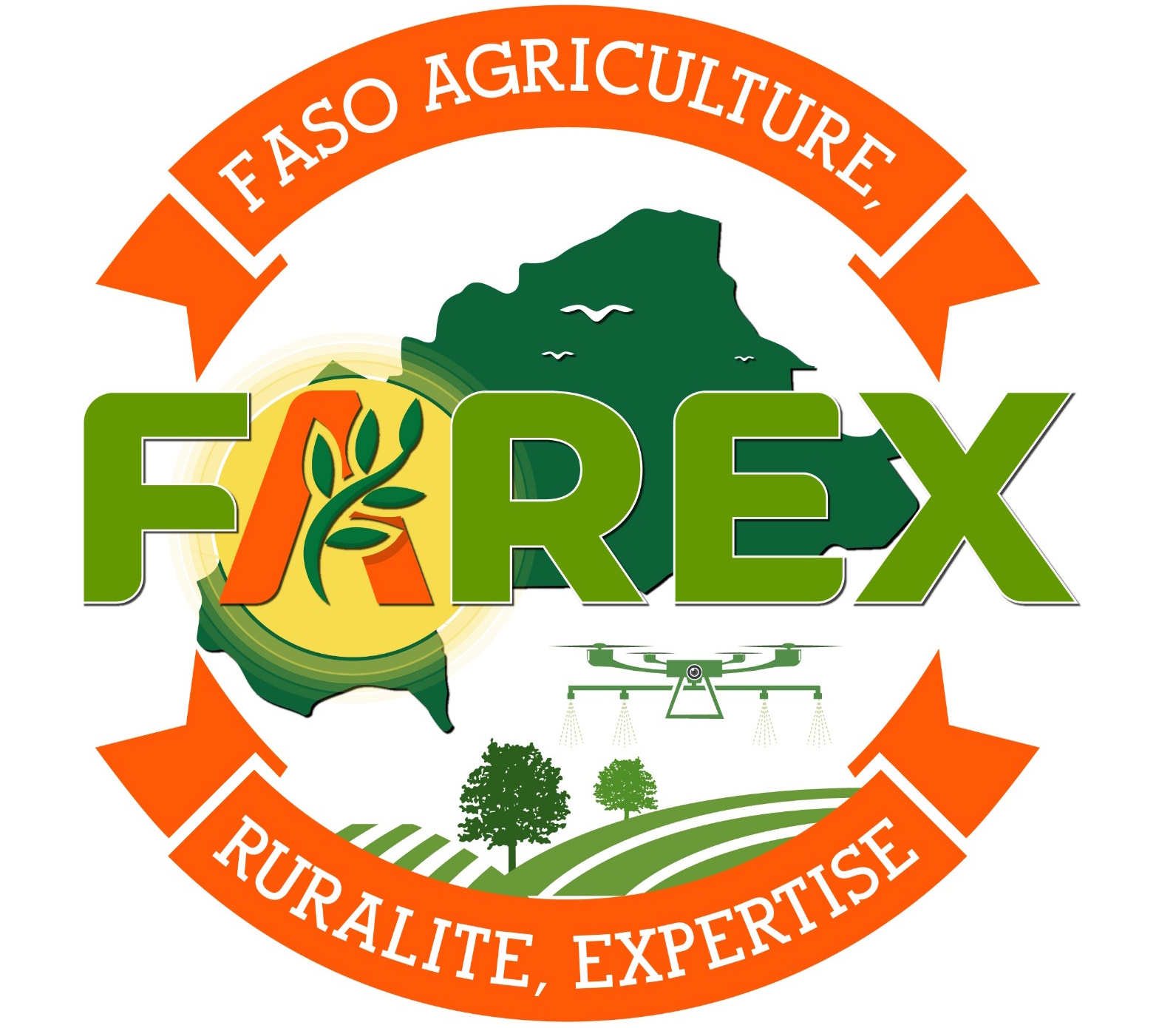 Farex Agence
